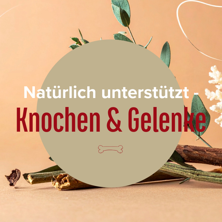 Ayurveda Kräuter und Meereskoralle als natürliche Unterstützer der Knochen und Gelenke