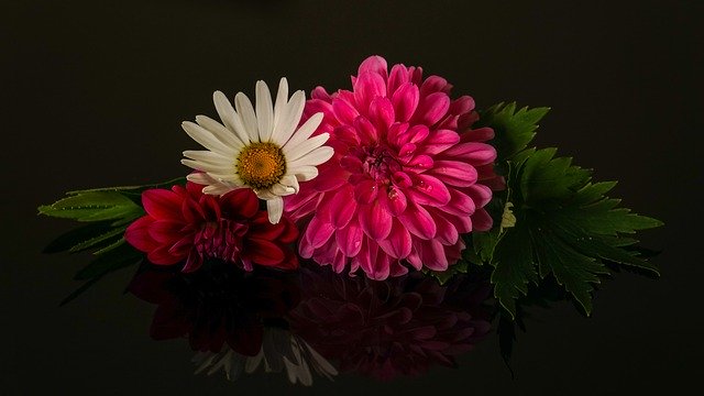 flower arrangement 3499525 640