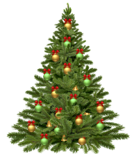 christmas tree 1808558 1280 s
