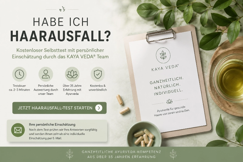Haarausfall Selbstest kostenlos und unverbindlich mit Experten Einschätzung